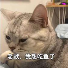 老默，我想吃鱼了，猫猫版