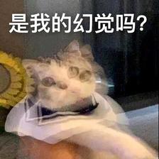 是我的幻觉吗