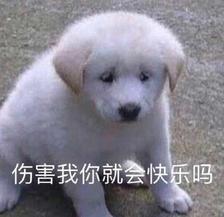 伤害我你就会快乐吗