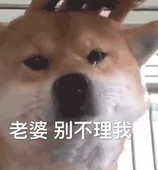 老婆，别不理我