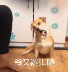 爷又嚣张咯