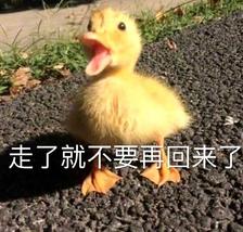 走了就不要再回来了