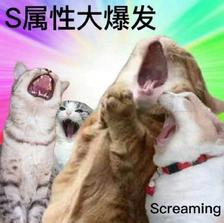 S属性大爆发，Screaming